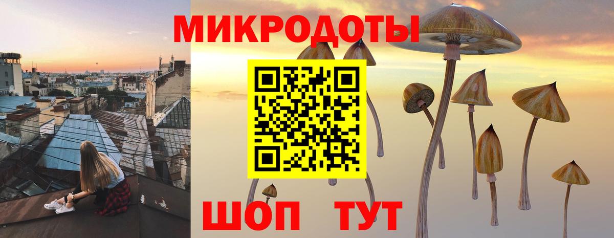 Псилоцибиновые грибы прущие грибы  где найти   Карталы  Вход с VPN  Галлюциногенные грибы мицелий 